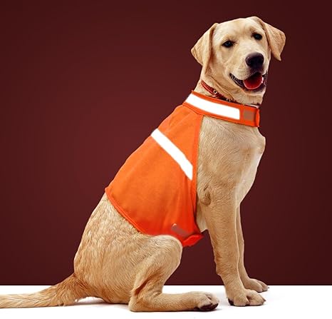 Dog Jacket High Visibility Safety Reflective Dog Vest